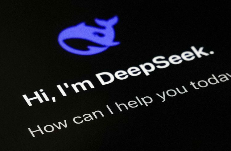 Under the Hood of DeepSeek-V3.2-Exp