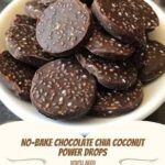 No-Bake Chocolate Chia Coconut