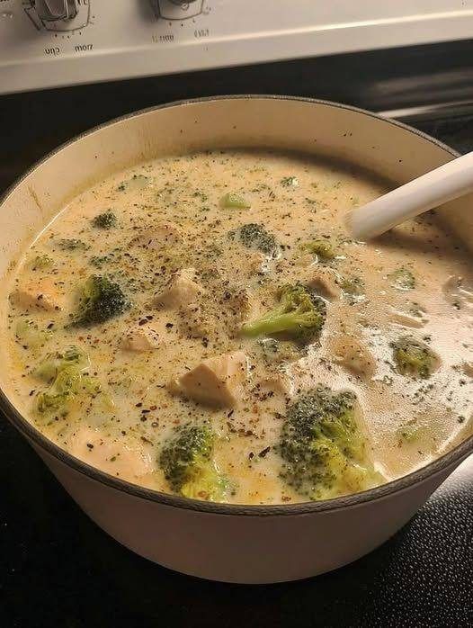 Chicken Alfredo Soup