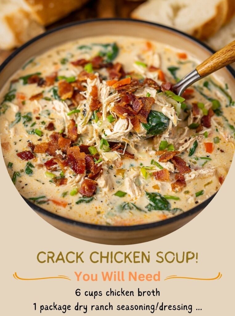 Crack Chicken Soup (Creamy, Cheesy & Comforting)