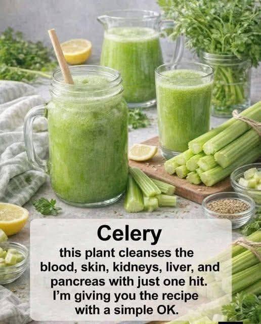 Simple Celery Juice