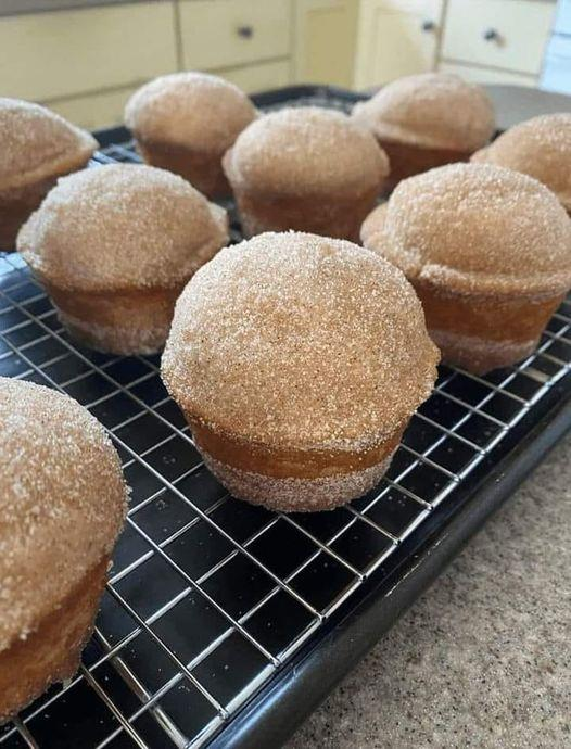 Diabetic-Friendly Cinnamon Donut Muffins