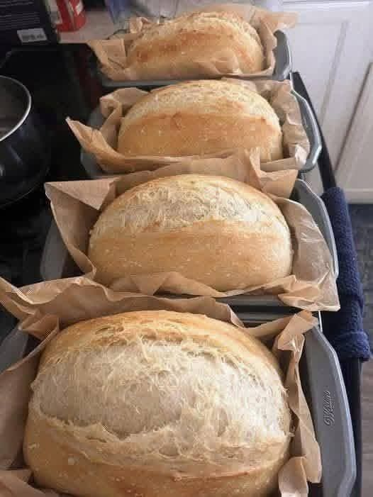 Diabetic Multigrain Sourdough Bread (No Kneading, No Eggs, No Butter)