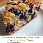 Sugar-Free & Low Carb Blueberry & Oat Cake