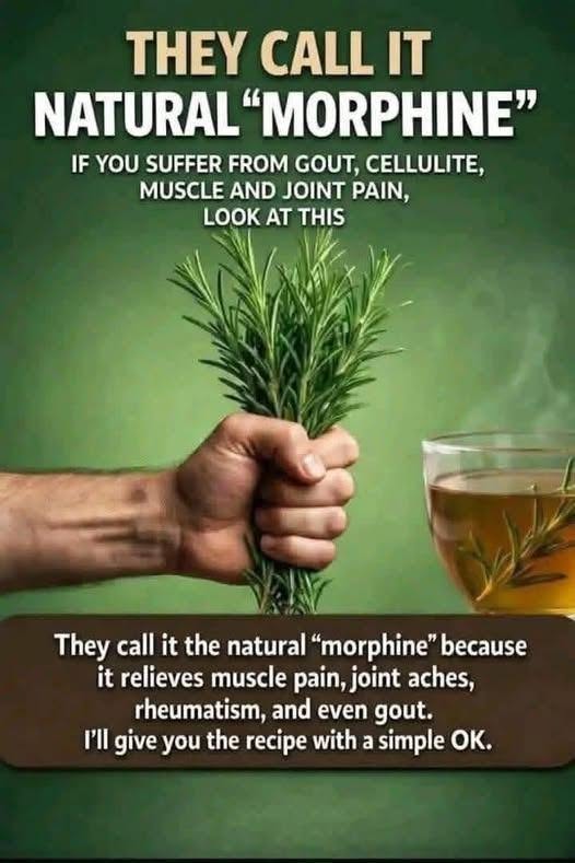 Rosemary Herbal Tea (Infusion)