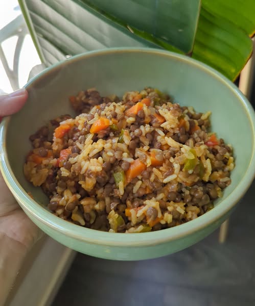 Vegan Lentil and Rice