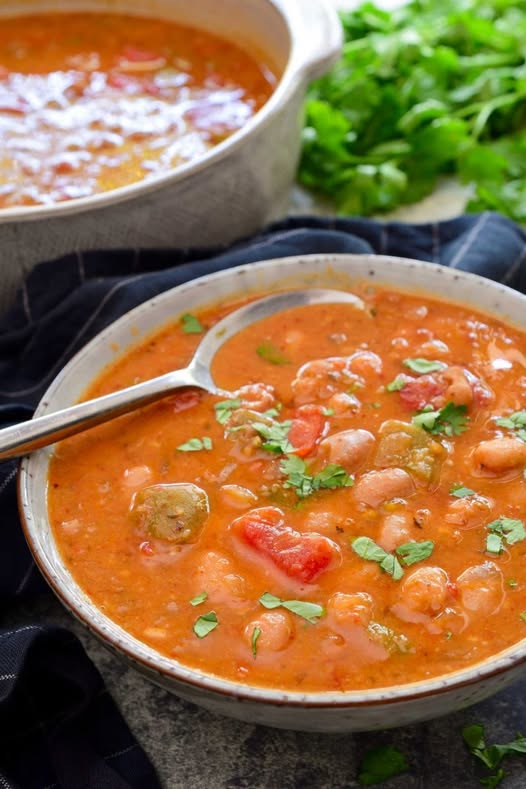 Vegan Pinto Bean Soup
