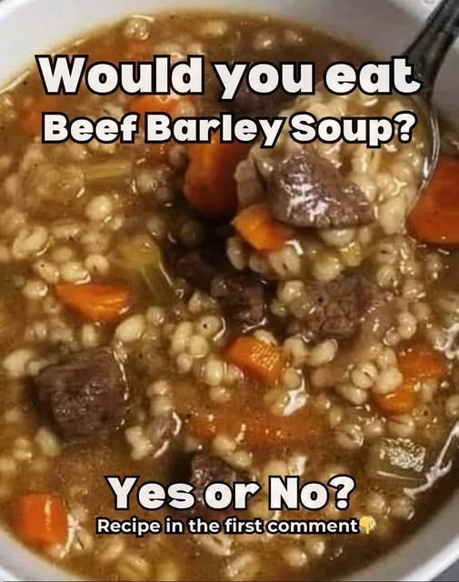 Beef & Barley Soup