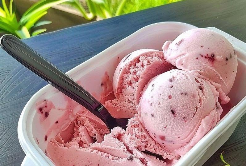 Vegan Berry Ice Cream