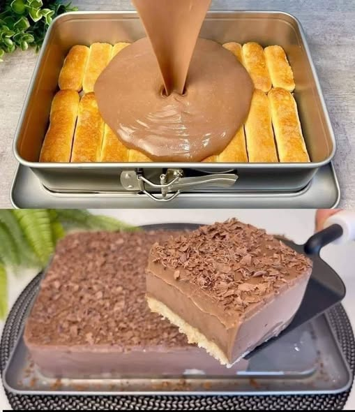 Creamy Chocolate Biscuit Dessert