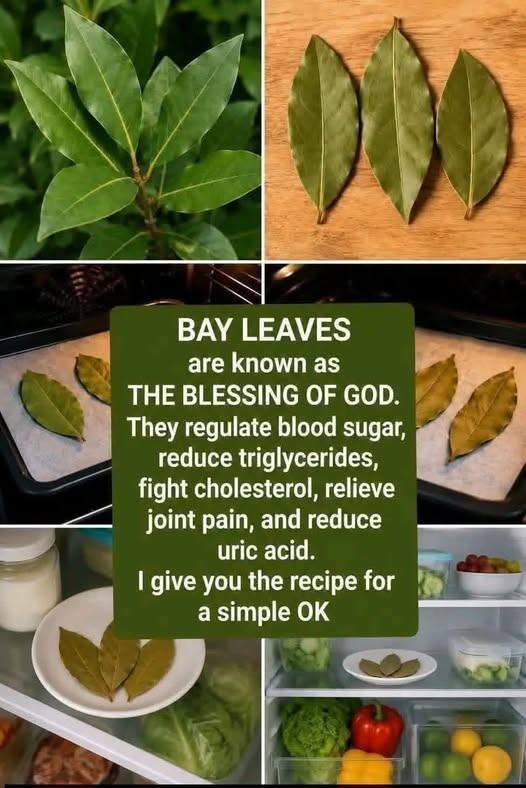 Bay Leaf Facial Toner for Mature Skin: A Simple Homemade Skincare Routine