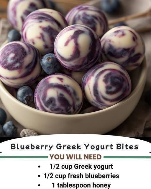 Healthy Blueberry Greek Yogurt Bites