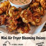 Mini Air Fryer Blooming Onions 🧅🍽️