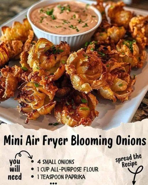 Mini Air Fryer Blooming Onions π§
π½οΈ