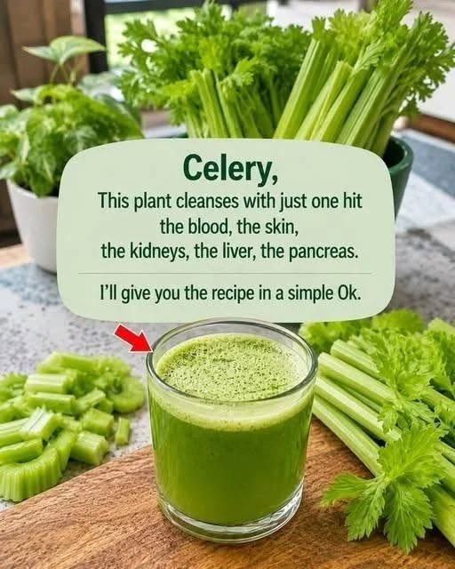๐ฅฌ Refreshing Celery Green Juice