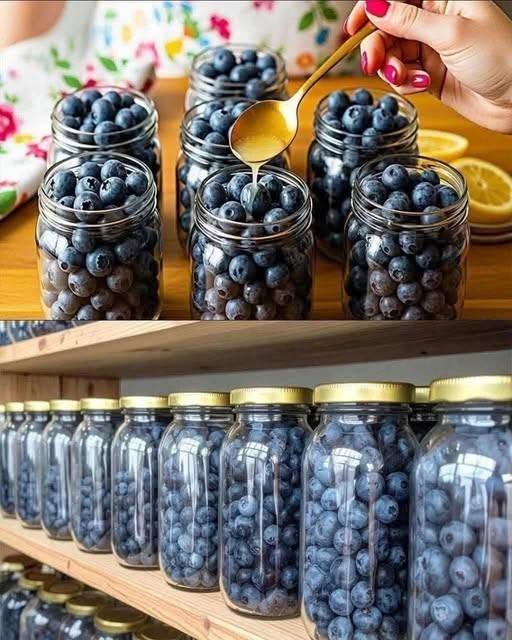 Fresh Blueberries (Water-Bath Canned)
