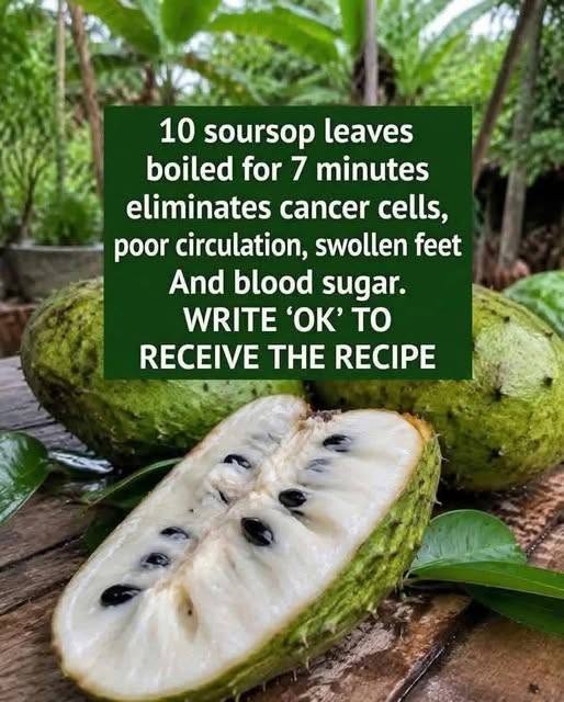 Easy Soursop Leaf Herbal Drink Recipe (10 Leaves, 7-Minute Boil)