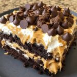 Vegan Chocolate Peanut Butter Poke Cake