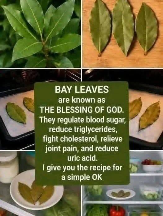 Bay Leaf Tea (Bay Leaf Infusion)