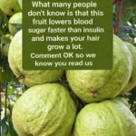 Guava Health Claims: Fact vs. Reality