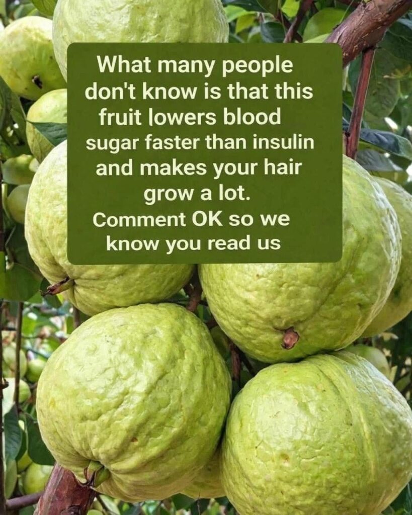Guava Health Claims: Fact vs. Reality