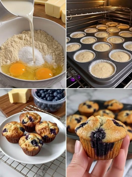 Blueberry Muffins