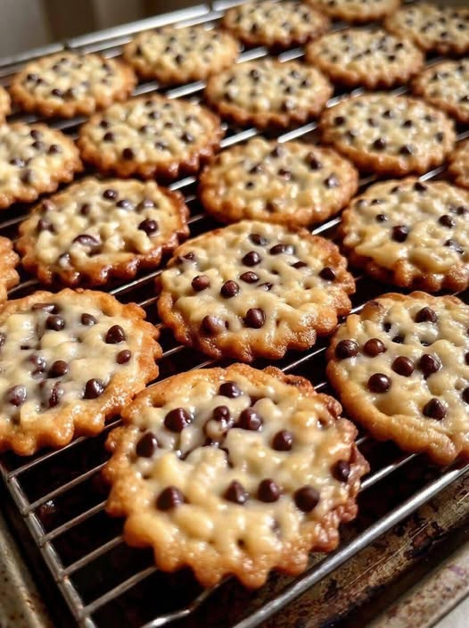 chocolate chip cookies