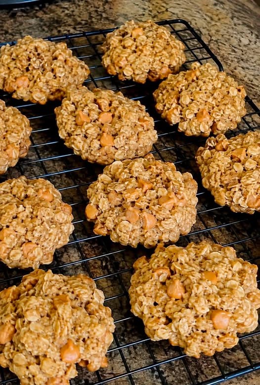 Low-Point & Carb + High-Protein Combo Butterscotch Oatmeal Cookies